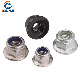 Stainless Steel / Nylon Steel Flange Nut, Nylon Nut, Cap Nut, Wing Nut