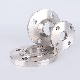  Stainless Steel SS304 316L Forged Welding Neck Wn Flange