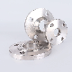 Stainless Steel SS304 316L Forged Welding Neck Wn Flange