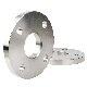 Stainless Steel Pipe Fitting Investment Casting High Neck Butt Welding Wn Flange