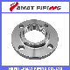 Casting/Forging Carbon/Stainless/Alloy Steel Bossed Bsp/NPT Threaded/Screwed Flange