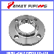  Casting/Forging Carbon/Stainless/Alloy Steel Bossed Bsp/NPT Threaded/Screwed Flange