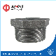 Best Selling China Manufacturer Malleable Iron Reducing Bushing for Water Oil Gas