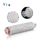 Sterilizing Pes Membrane 0.22um Pleated Filter Cartridge for Pharmaceutical Liquids Filtration