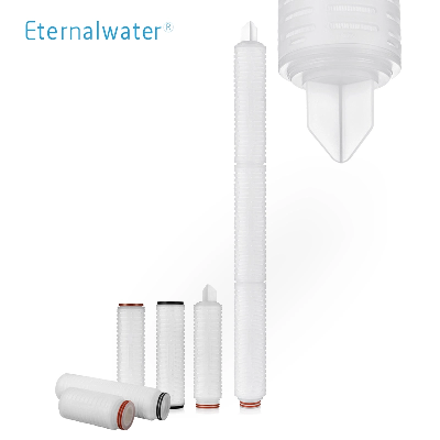 0.45um 10" Hydrophobic PTFE Membrane Pleated Filter Cartridge for Electronic Industry Filtration