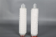  High Retention Rate Polyethersulfone Membrane Folded Filter Cartridge