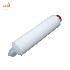 Multilayer Absolute PP Pleated Filter Element 10 Inch for Compressed Air