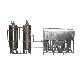 3000L/H Reverse Osmosis System Water Filtration Unit manufacturer