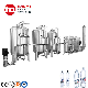 Efficient Water Purifier for Carbonated Drink/Beverage/Juice Production Line manufacturer