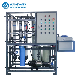  Ultrafiltration Machine 10t Drinking Pure Water Treatment Plant UF Filter