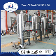 1000-20000lph Water Filteration System Line for Mineral Water