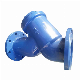 Dn50 DIN Cast Steel Flanged Y Strainer with Epoxy Coating