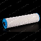 Premium Quality Polyester Pleated Water Filter 50 Micron Hc-170