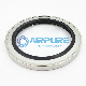  9210601p Replace Stainless Steel and Rubber Lip Seal Kit (2901181900) (1622462800)