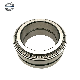 Top Quality 3506/203, 37941 K Double Row Tapered Roller Bearing with Double Race Outer Ring