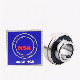 NSK NTN Koyo Pillow Block Bearing/UCP205 Manufacture of Bearing Cylindrical/Taper Roller/Deep Groove Ball Bearing