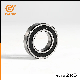 6018 Z, Zz, 2RS, 2rz, OEM Chinese Factory, Motorcycle Deep Groove Ball Bearing