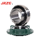 Bearing Manufacturing UC/UCP/UCT Pillow Block/Deep Groove/Insert Ball Bearing UCP212 UC Series for Water Pump/Waterproof Bearing