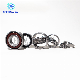  China Factory Manufacturer Wholesale Bearing Full Model for Textile Bearings