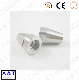 Stainless Steel Ball Joint Rod End Bearing, Joint Rod, Ball Joint Rod End