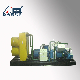 Customized Reciprocating Piston Oil-Less/Oil-Free Natural Gas Compressor High Pressure Air Compressor, Special Gas Compressors Such as Hydrogen/Nitrogen/Bog.