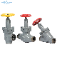  Ammonia Angle Globe Stop and Check Cast Steel Valve with Acceptable Price