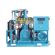 High Pressure Oil Free Oxygen Compressor