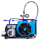 Promotional OEM China Wholesale High Pressure Air Compressor 12V