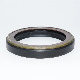  Hydraulic Pump Shaft Oil Seal 60*82*12 with OEM Ap3222b