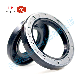 Tc Tg Tcw Skeleton Oil Seal Radial Shaft Seal Ring NBR FKM HNBR Rubber Oil Seal for Gear Box