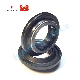 High Quality NBR Material OEM Automotive Shock Absorber Oil Seals