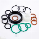  Rubber NBR Nitrile Buna-N FKM Silicone Vmq EPDM O-Ring Oring O Ring