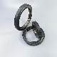  Rotary Pump Seals PTFE Spring Energized Seal