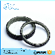  Custom Manufacture Double O Ring Combination Dustproof PTFE Wiper /Scraper /Dust Seal