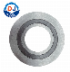 D-Type Inner and Outer Ring Metal Winding Seal Gasket Spiral Wound Gasket