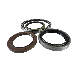  Radial Shaft Oil Seal with Double Lip in Stainless Steel