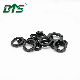  Manufacturer Double Lip Skeleton NBR FKM Silicone Tc Sc Tg Tb DC Tcv Tcn Cassette Combi Reducer Rotary Shaft Oil Seals