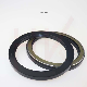 Ap4399e 125*155*14 Standard Oil Seal Tcn Type High Pressure Shaft Seal NBR