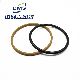 Golden Color Bronze PTFE Cylinder Seals Double Acting Piston Seals Spgo D Rings