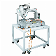 Ra Fully Automatic PCB Glue Dispensing Dispenser/Robot/Equipment/Machine for Electronic Assembly Line