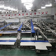  Meat Cutting Conveyor Line and Meat Deboning and Cutting Line