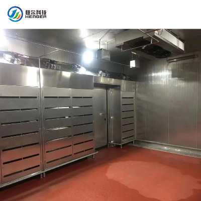 High Efficiency Beef Deforsting Machine Meat Thawing Machine for Frozen Chicken