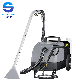 Commercial Steam Cleaning Machine for Sofa/Curtain/Car