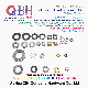  Qbh DIN125 DIN127 F436 F959 DIN6919 DIN934 DIN936 All Type Zp/Yzp/Bzp/Plain/Black/HDG/Dacromet/Geomet/Nickle Plated Washers
