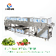 Industrial Fruit and Leaf Vegetable Washer Machine High Pressure Sprayers Washing Cleaning Machine