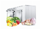 China Manufacture Cold Storage Room Commercial Vegetables Display Cold Storage Room for Keeping Food Fresh