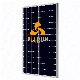 Wholesale Solar Energy Panel Photovoltaic 250W 320W 300W /Black PV Solar Panels Monocrystalline 330W 350W 360W Black Solar Module