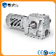 Foot Mounted Solid Shaft Helical-Worm Geared Motor