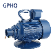  Gphq Zn Series Single Phase Electric Motor 3HP Concrete Vibrator