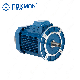Ye2 Series Qualified AC Gear Motor with Competitive Price